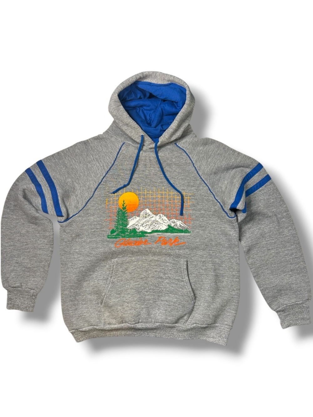 Vintage Glacier National Park Hoodie Jerzees USA Mountain Sweatshirt Grey M